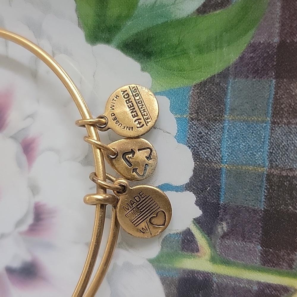Alex and Ani bracelet